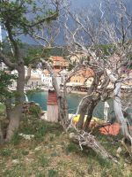 IMG-20170725-WA0000