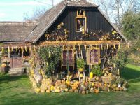 IMG-e870e104194654dd6180279b06b5e830-V
