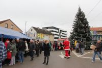 badnjak1