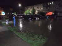 IMG-20220603-WA0010