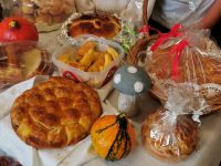 IMG_20211012_110215