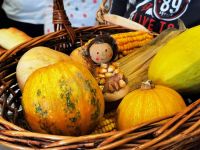 IMG_20211012_110235