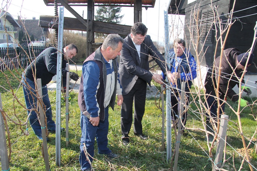 obrezivanje 1