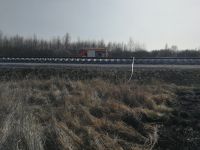 IMG-20210325-WA0001