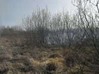 IMG-20210325-WA0004