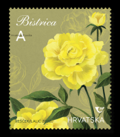 Marka-Bistrica
