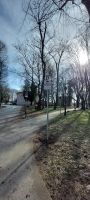 IMG-20230330-WA0009