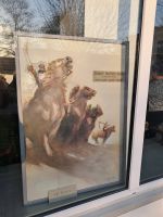 649047420_1528479629278001_4222478028213200908_n