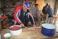 kolinje_bajs_09