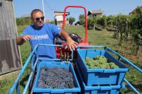berba_štakorovec_2021_3