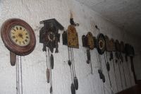 muškon_04