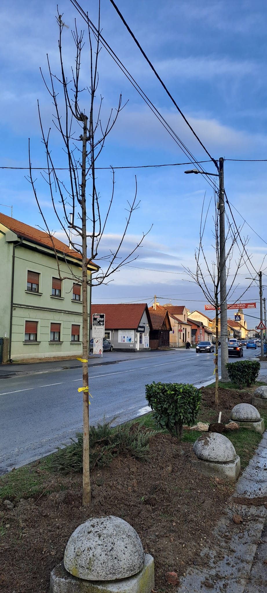 sadnja
