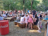 piknik_17