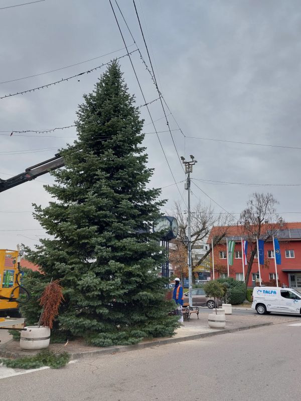 6 6