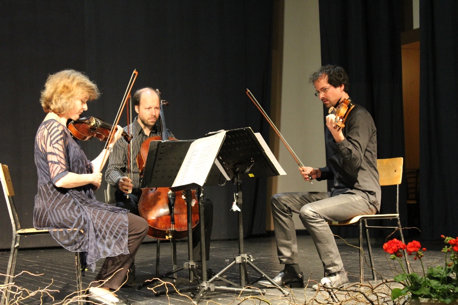 festival klasične glazbe 1