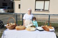 PEPELNICA_LUPOGLAV_02