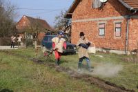 PEPELNICA_LUPOGLAV_04