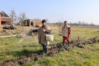 PEPELNICA_LUPOGLAV_06